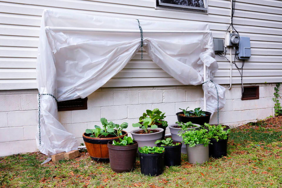 Build a Fold-Down PVC Greenhouse