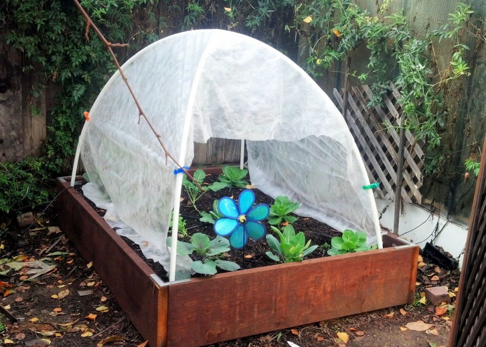 Cheap DIY PVC Hoop House for Winter