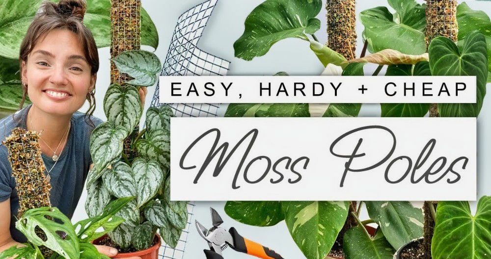 diy moss pole
