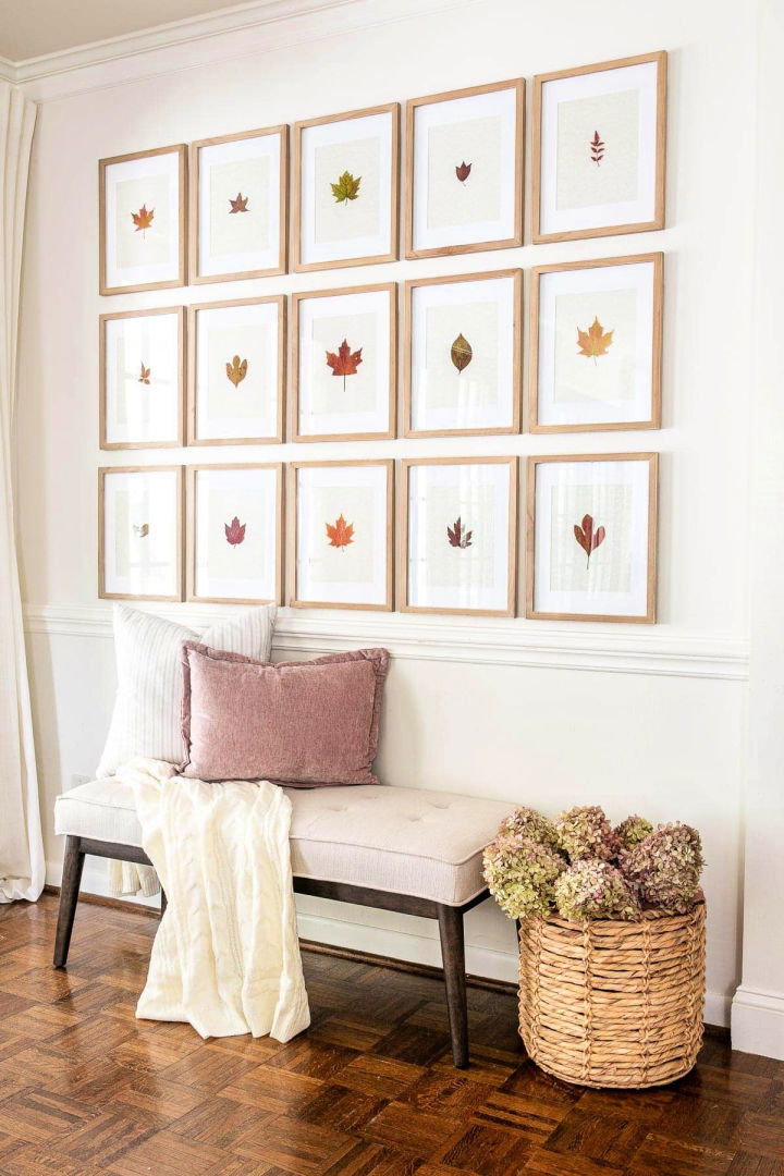 DIY Pressed Leaf Gallery Wall