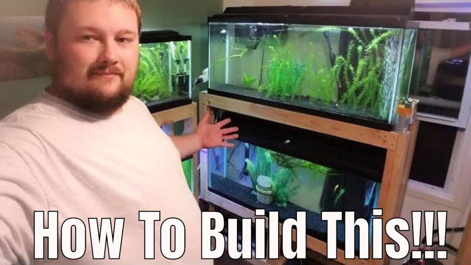 DIY Wooden Fish Tank Stand 55 Gallon