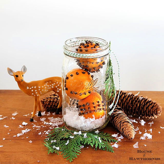 Handmade Cloved Clementines Hostess Gift