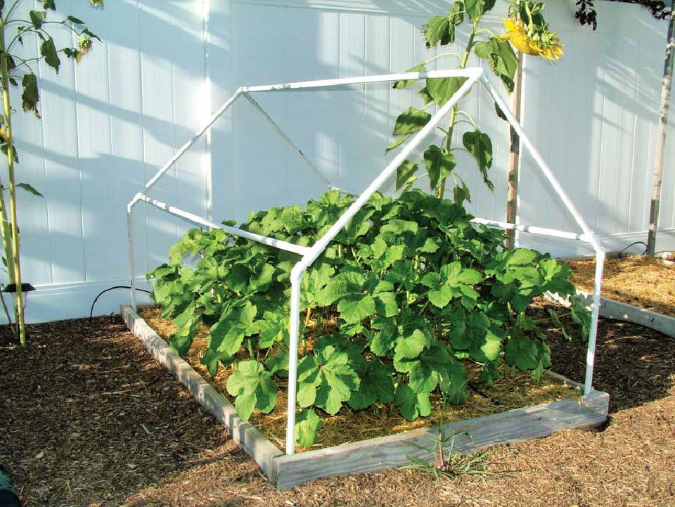 How to Make a PVC Cold Frame 