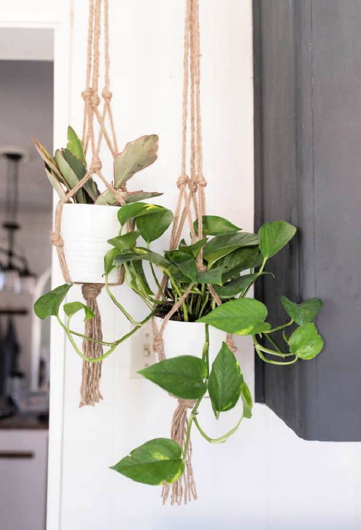 Simple DIY Macrame Plant Hanger